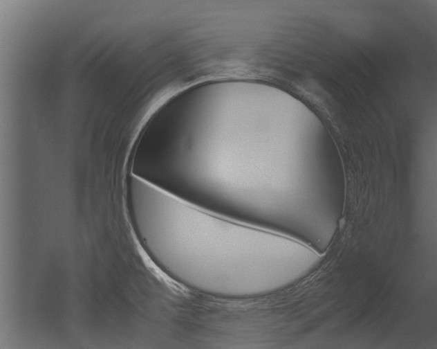 X0000053011479200507081008
