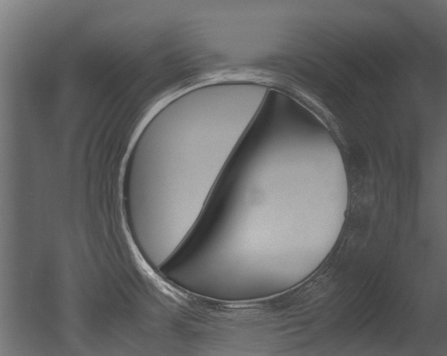 X0000053011483200507081008