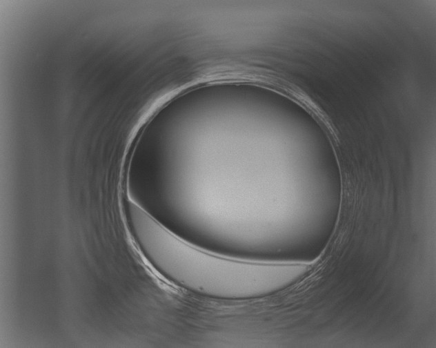 X0000053011485200507081008
