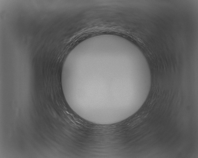 X0000053011492200507081007