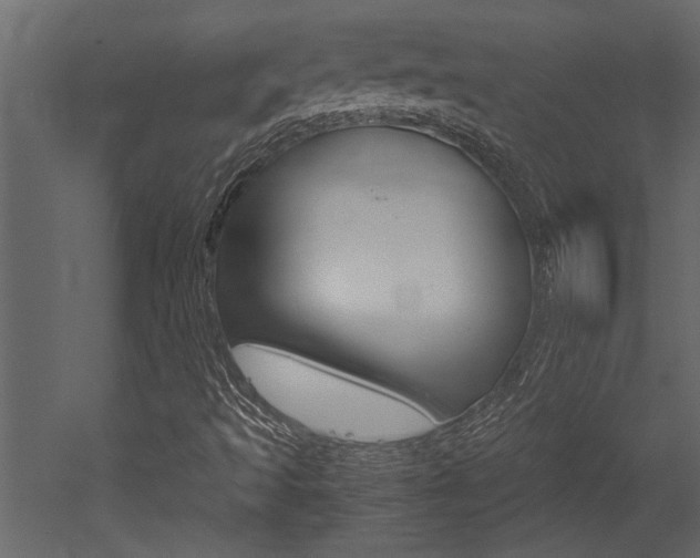 X0000053011493200507081007