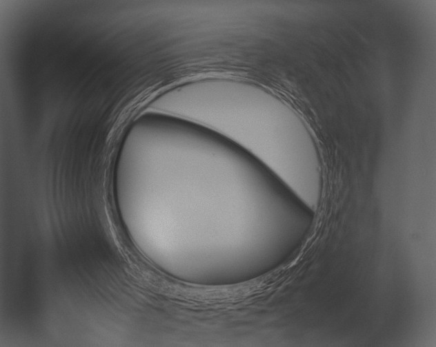X0000053010001200507081312
