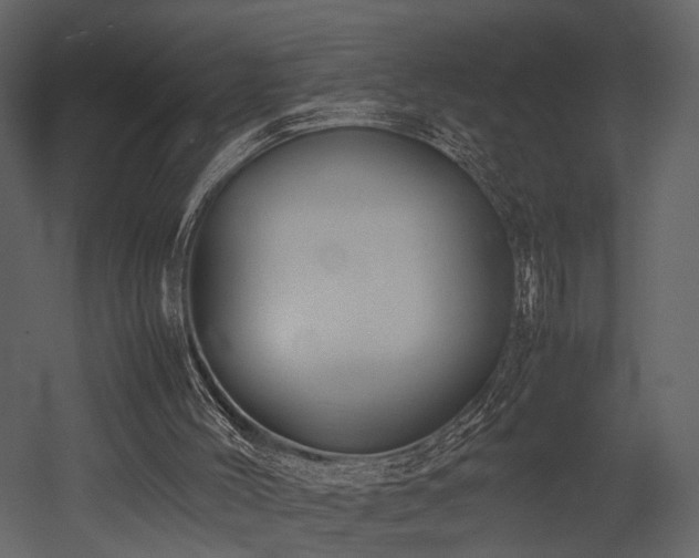 X0000053010004200507081312