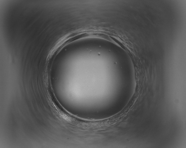X0000053010005200507081312
