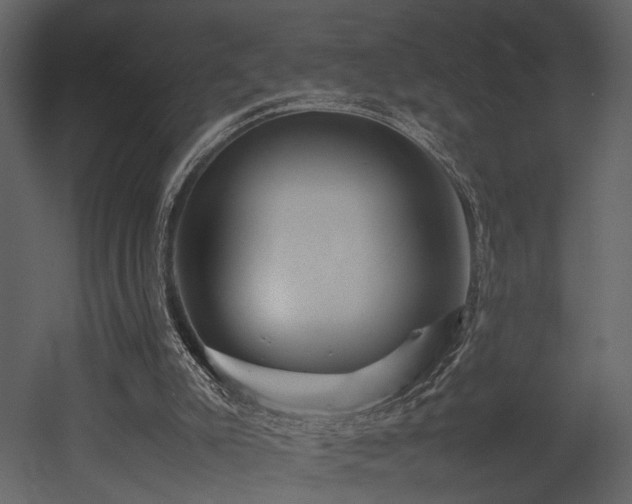 X0000053010007200507081312