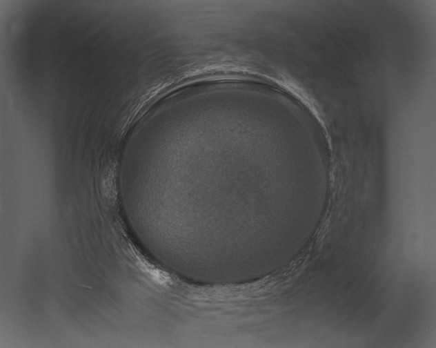 X0000053010009200507081312