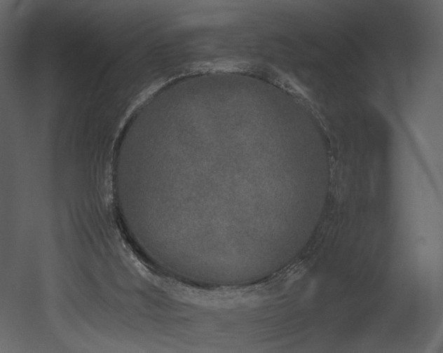 X0000053010012200507081312