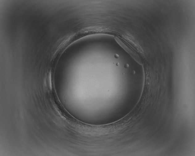 X0000053010014200507081312