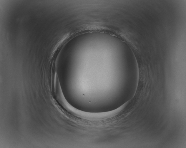 X0000053010015200507081312
