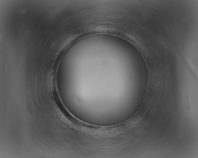 X0000053010016200507081311