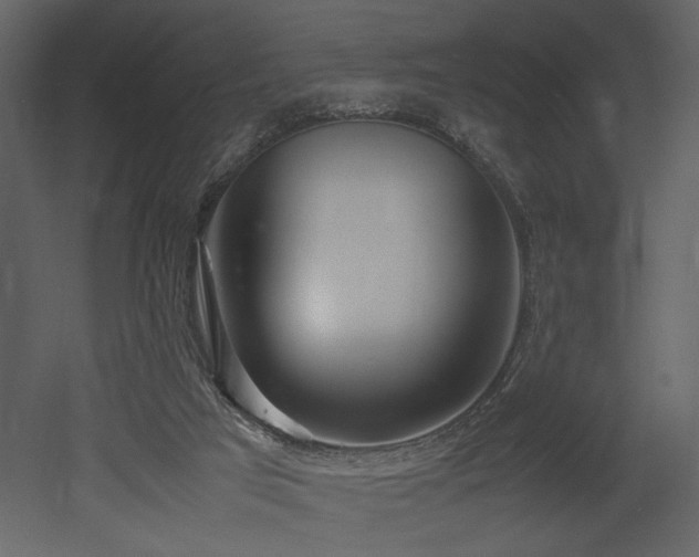 X0000053010017200507081311