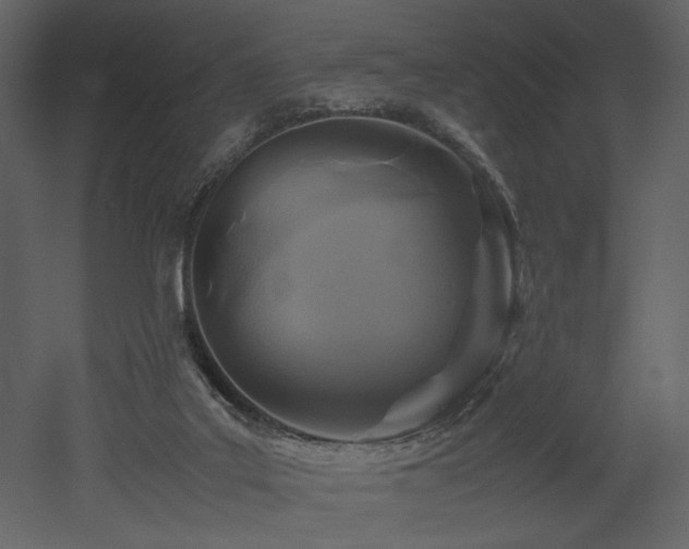X0000053010019200507081311