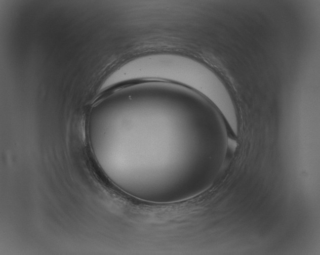 X0000053010021200507081311