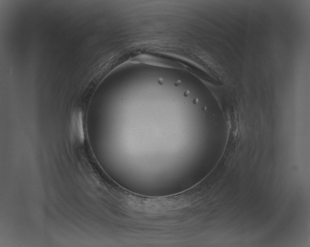 X0000053010022200507081311