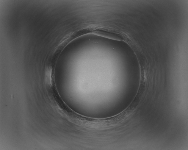X0000053010024200507081311