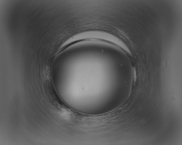 X0000053010025200507081311