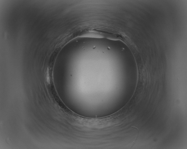 X0000053010026200507081311