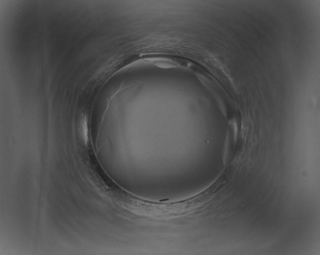 X0000053010027200507081311