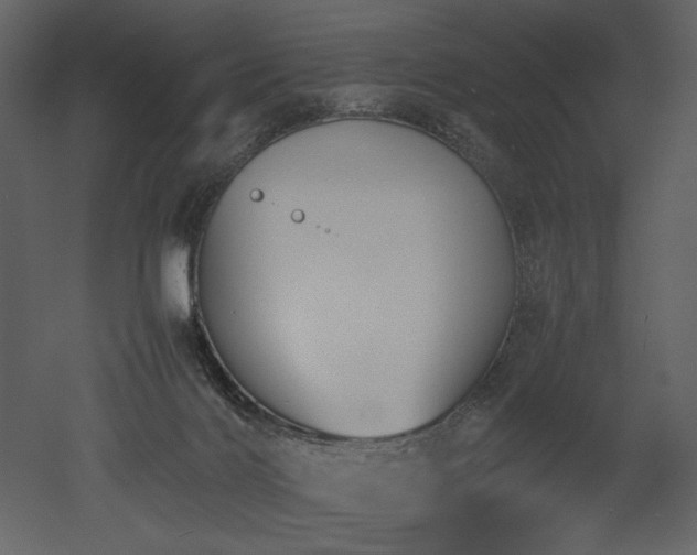 X0000053010028200507081311