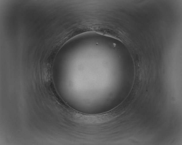 X0000053010030200507081311