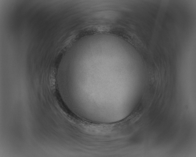 X0000053010032200507081311