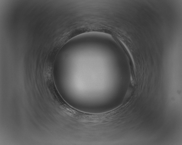 X0000053010033200507081311