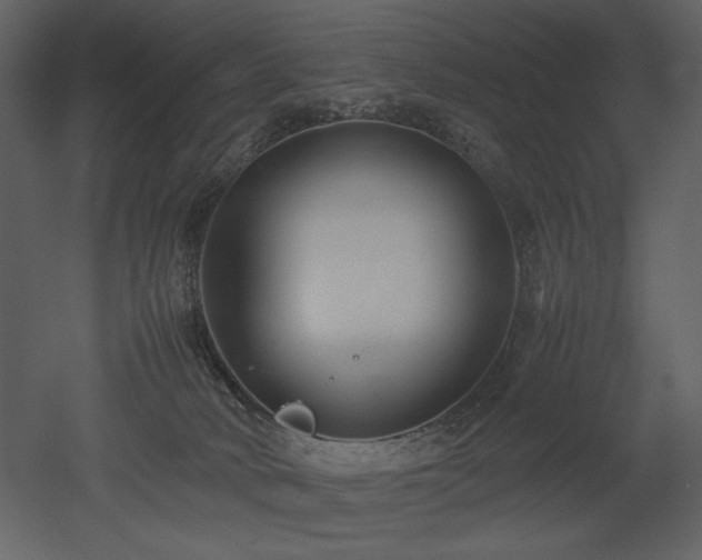 X0000053010034200507081311