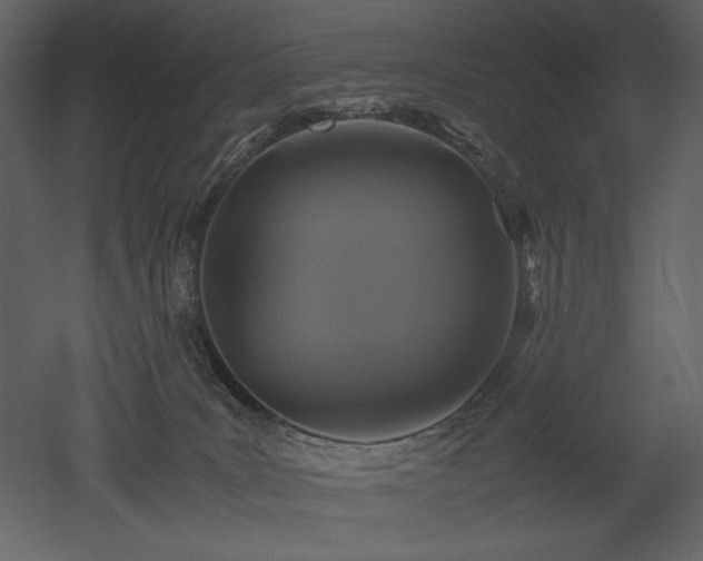 X0000053010035200507081311