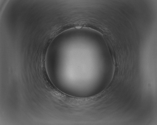 X0000053010037200507081311