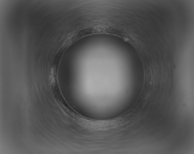 X0000053010038200507081311