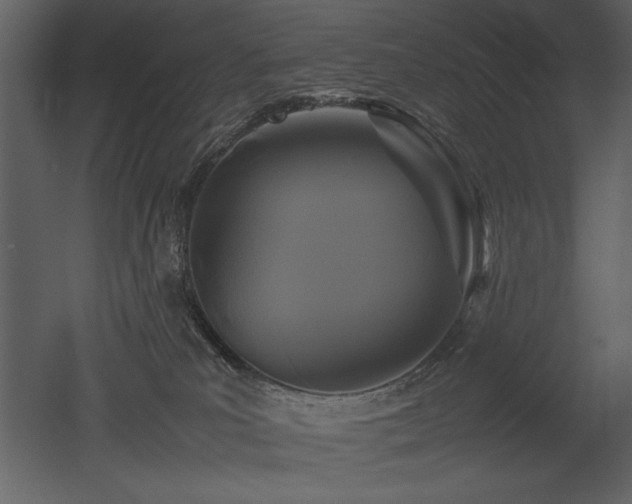 X0000053010039200507081311