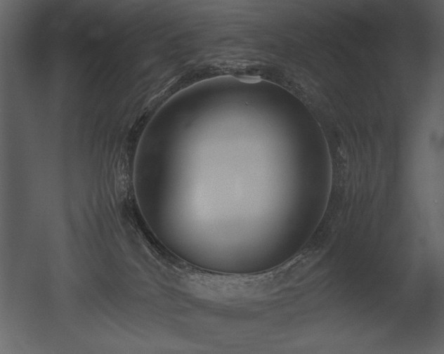 X0000053010040200507081311