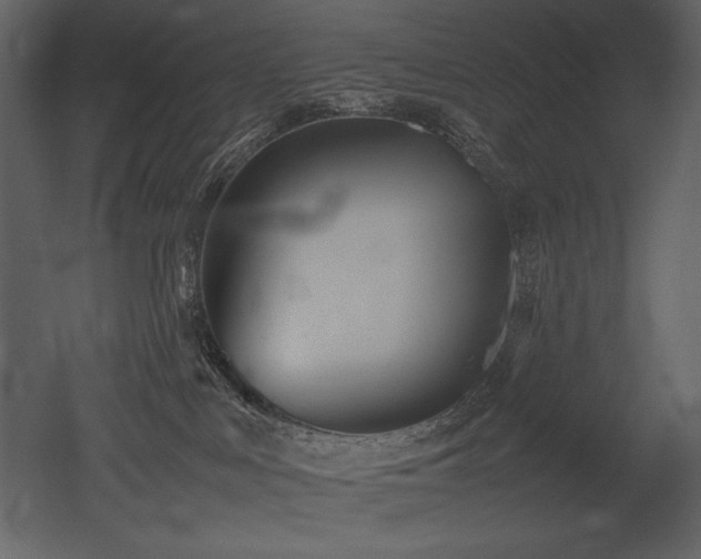 X0000053010043200507081311