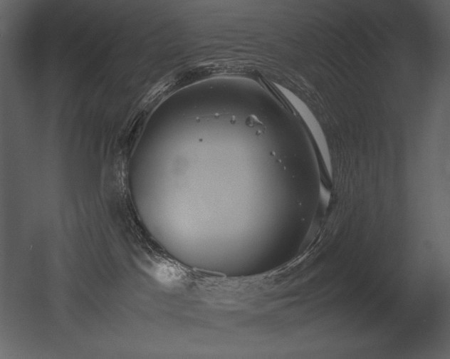 X0000053010045200507081311