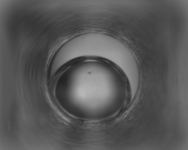 X0000053010049200507081310
