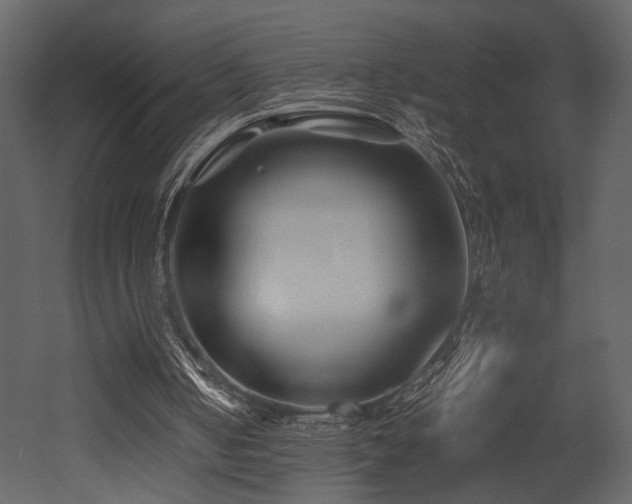 X0000053010050200507081310