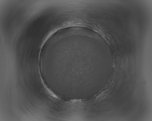 X0000053010052200507081310