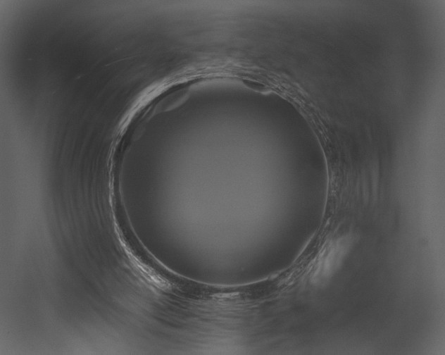 X0000053010054200507081310