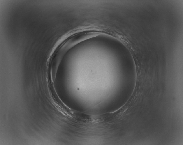 X0000053010056200507081310