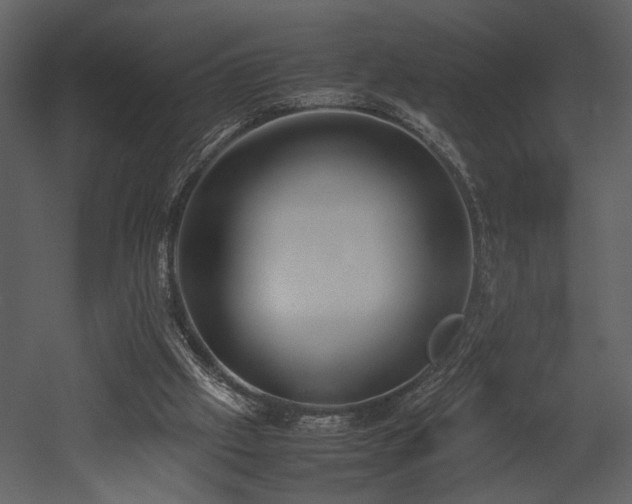 X0000053010057200507081310