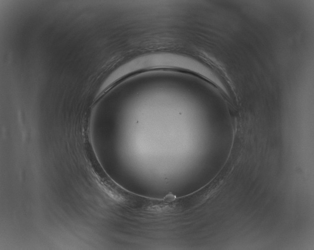 X0000053010065200507081310