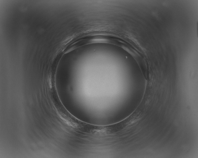 X0000053010068200507081310