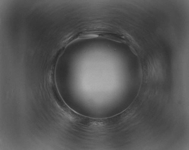X0000053010071200507081311