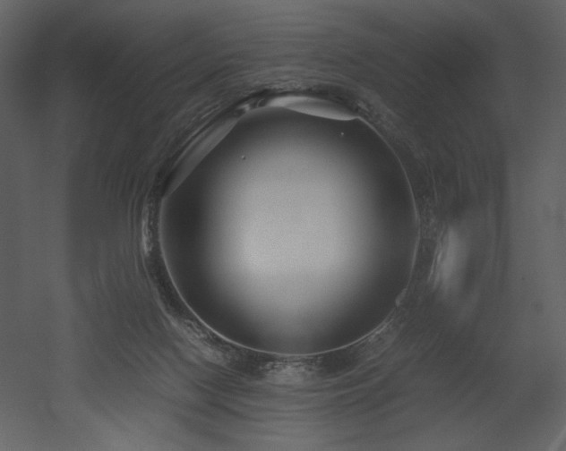 X0000053010074200507081311