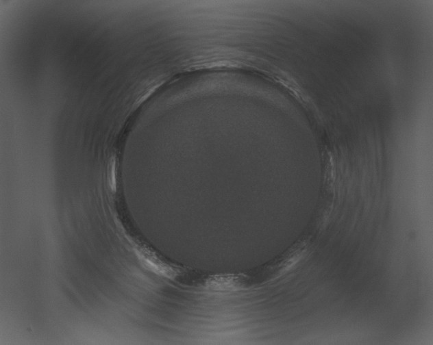 X0000053010076200507081311