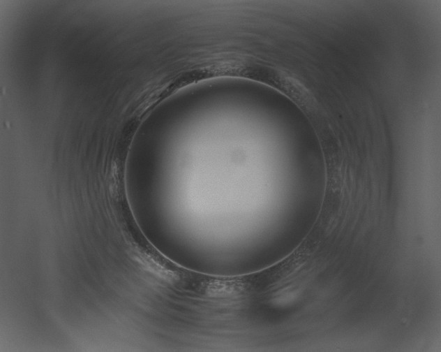 X0000053010077200507081311