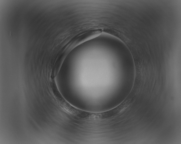 X0000053010080200507081311