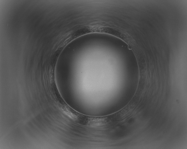 X0000053010081200507081311