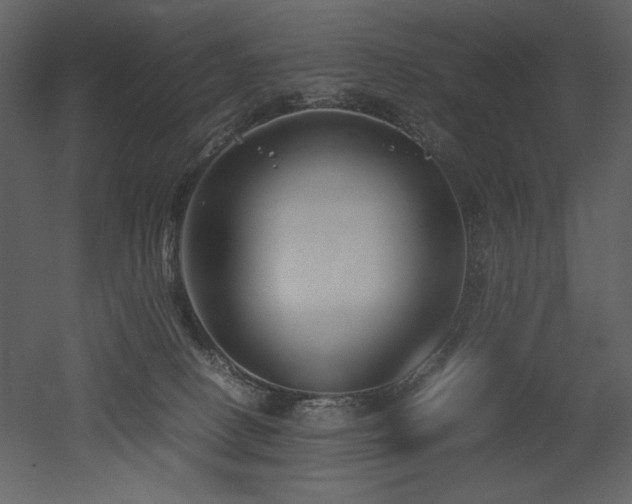 X0000053010082200507081311