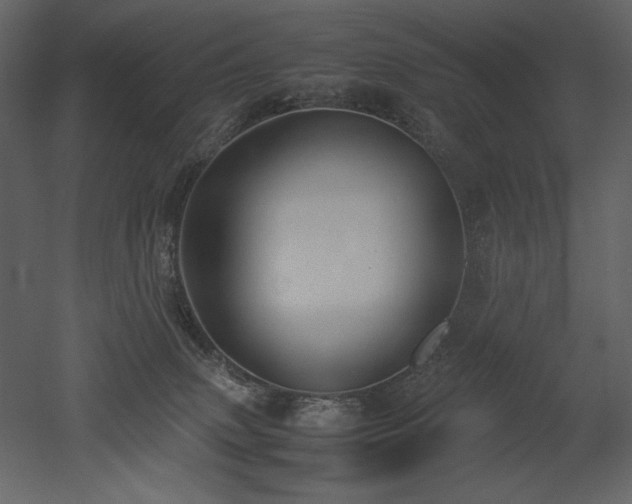 X0000053010083200507081311